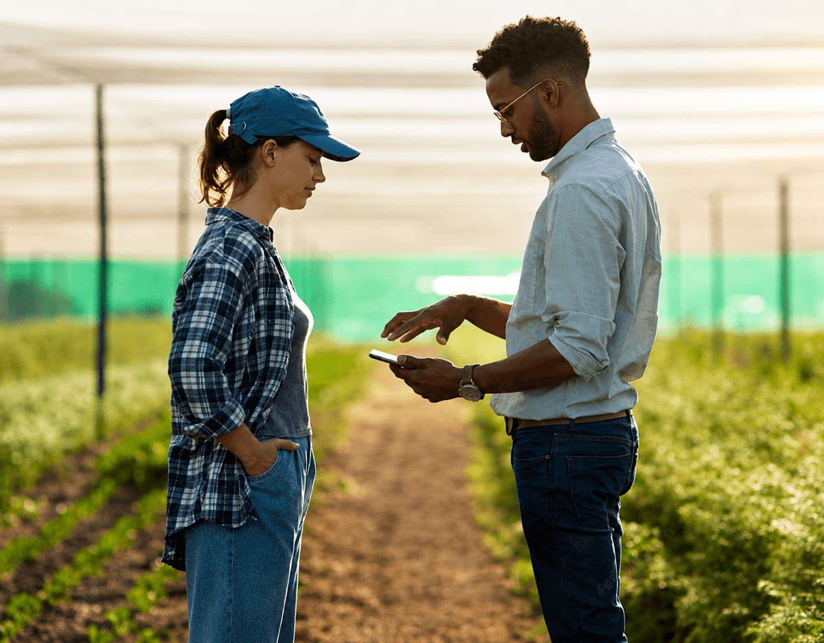 Ethnography & Field Research